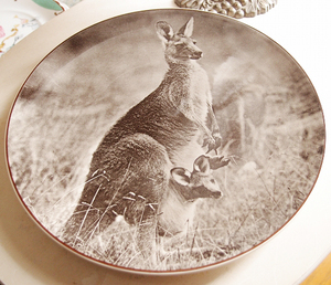 値下げ★ロイヤルドルトン 絵皿 大皿 カンガルー Mother Kangaroo With Joey