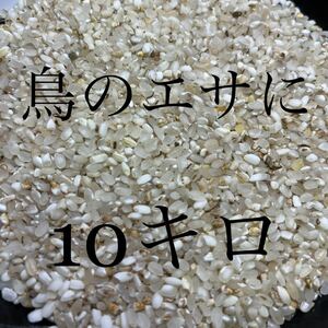 鳥餌/もち　米　飼料/小動物　餌◎10kg