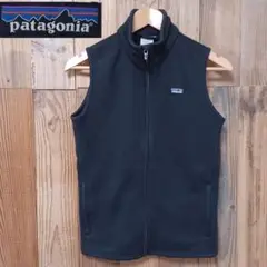 patagonia パタゴニア ベターセーター ベスト 企業ロゴ 古着女子 M