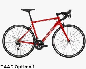 【新品】Cannondale(キャノンデール) ロードバイク（CAAD OPTIMO1）51size　適応身長：165-175cm