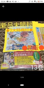 ★2大特典付●初版■新品未開封◆チラシ付き！！◆「地獄楽 13巻」 （ジャンプコミックス　ＪＵＭＰ　ＣＯＭＩＣＳ＋） 賀来ゆうじ