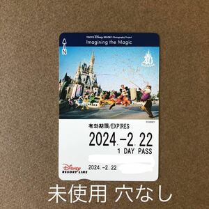 【穴なし 未使用】40周年 イマジニング・ザ・マジック 縄跳び 2024/2/22 ディズニー リゾートライン フリーきっぷ/切符 TDR