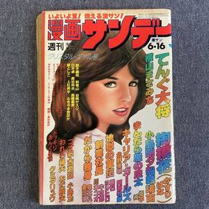 週刊 漫画サンデー 1981年6/16 最終回-掏摸花/小島剛夕 まんだら屋の良太/畑中純 地獄の軍団/辰巳ヨシヒロ 横山まさみち 北野英明 川本コウ