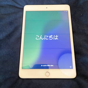 ●●●　Apple iPad mini 5 (第5世代) 64GB WiFi シルバー (MUQX2J/A) 中古美品 送料無料　●●●