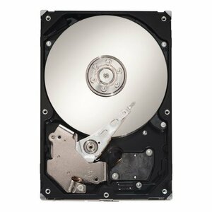 (中古品)Seagate 3.5インチ内蔵HDD 300GB 15000rpm SAS 16MB ST3300656SS　(shin