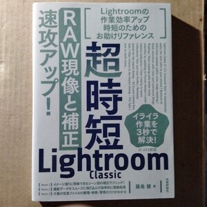 /8.06/ 超時短Lightroom Classic「RAW現像と補正」速攻アップ! 著者 藤島 健 241206