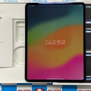 iPad Pro 13インチ 第1世代 256GB Softbank版SIMフリー バッテ 中古[27766432]