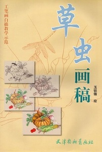 9787807387091　草虫画稿　工筆画白描教学示範　下絵創作　中国絵画