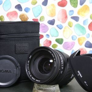 ◇高性能ズームレンズ♪ ◇SIGMA 28-70mm F2.8 ニコン Nikon