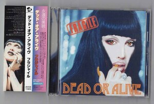 フラジャイル　デッドオアアライヴ　Fragile Dead Or Alive　　CD