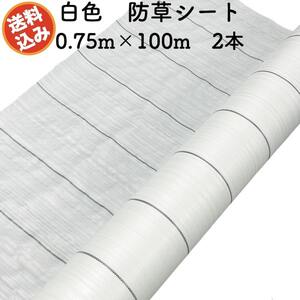 防草シート 白色（サンホワイト） 0.75m×100m 2本セット 抗菌剤 UV剤入り 反射 除草シート 太陽光 野菜 畑 農業