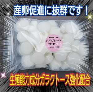 産卵促進に抜群！特選ハイグレードプロゼリー【50個】生殖能力の要になるガラクトース強化配合！長寿・体力増進にも抜群！　昆虫ゼリー