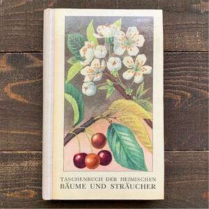 東ドイツの古い植物図鑑(BAUME UND STRAUCHER 1967年)/アンティーク ヴィンテージ ヨーロッパ 植物画 花 洋書 ボタニカルアート DDR/