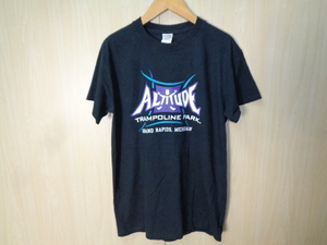 T40◆GILDAN製 Heavy Cotton ALTITUDE プリントTシャツ◆ギルダン アルティテュード サイズS ブラック 半T 綿100％ ネコポス発送 6E