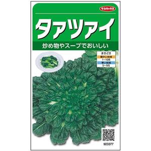 未開封＜野菜の種＞約900粒　タァツァイ　中国野菜　ターサイ　タアサイ