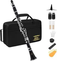 M25 クラリネット ニッケルメッキ B調 Clarinet ABS樹脂管