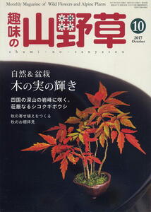 【趣味の山野草】2017.10 ★ 自然＆盆栽　木の実の輝き