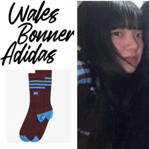 あいみょん WALES BONNER Adidas ソックス 靴下 Msize