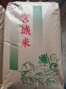  令和6年宮城県登米市産　つや姫　玄米　５kg　⑫【送料無料】