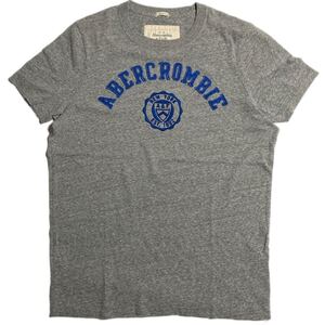 Abercrombie Fitch アバクロ 定番 ロゴ 刺繍 Tシャツ 半袖 グレー XXL メンズ スリム アメカジ 大人カジュアル バイカー 古着 ■ZTP57