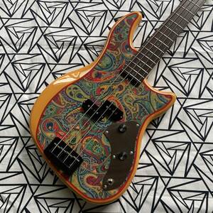 ZEEK Guitars / Zylla 421 “ Rasta Paisley”