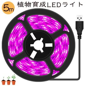 植物育成ライト 5m LED植物用 LEDテープライト 植物成長促進用ランプ LEDテープライト防水 USB充電 SMD3528 5V LEDテープ☆1点