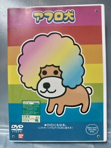 【DVD】アフロ犬　オリジナルポストカード2枚付