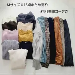 No.11-2＊Mサイズ16点まとめ売り＊ダウンコート入り♫リリーブラウン他