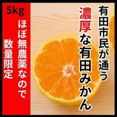 減農薬 甘い！有田みかん 5kg 少農薬 和歌山 おいしい ミカン 蜜柑