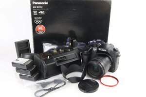 Panasonic パナソニック Lumix ルミックス AG-GH4 デジタル一眼 + 14-140mm F3.5-5.6 元箱付き インターフェースユニットキット★F