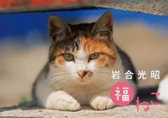 岩合光昭 福ねこカレンダー2025 ([カレンダー])