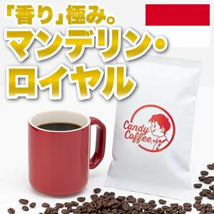 【出来立て】【 200g 】自家焙煎コーヒー豆　高級マンデリン マンデリンG1　フレンチロースト 極深煎り　キャンディコーヒー Candy Coffee