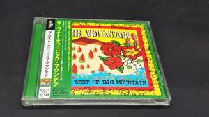 Big Mountain / The Best Of Big Mountain ビッグ・マウンテン / ベスト・オブ・ビッグ・マウンテン 帯付き