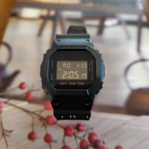 カシオ G-SHOCK　DW-5600VT