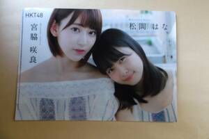 HKT48 宮脇咲良＆松岡はな　両面クリアファイル　未使用