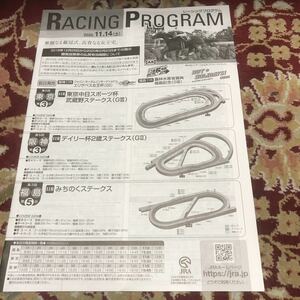 開催競馬場意外版JRAレーシングプログラム2020.11.4(土)デイリー杯2歳ステークス(GⅡ)、武蔵野ステークス(GⅢ)、みちのくステークス