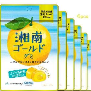 6袋セット販売 グミ 乳酸菌入り 湘南ゴールドグミ カネカ食品 美味しい スッキリ 甘酸っぱさ さわやかな味わい 果汁ジュレ ラブレ乳酸菌