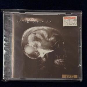 David Sylvian GodMan Numberd limited edition of 5000 UK盤 輸入盤 1999年発売 デヴィッドシルヴィアン CD