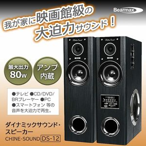 迫力のダイナミックサウンドスピーカー DS-12 アンプ内蔵スピーカー 最大出力80W 大迫力サウンド 正規品 保証付