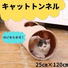 猫 　ねこ　ネコ　 キャットトンネル おもちゃ シャカシャカ　675　ベージュ