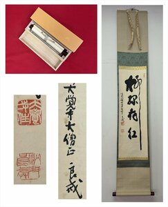 【千寿】真言宗 大覚寺 味岡良戒 柳緑花紅 一行書 紙本 d0590◆箱/茶道具/古美術/時代品/掛軸/100023872