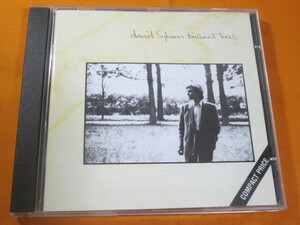 ♪♪♪ デイヴィッド・シルヴィアン David Sylvian 『 Brilliant Trees 』輸入盤 ♪♪♪