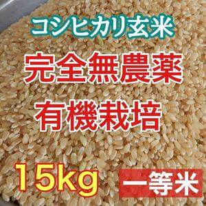 完全無農薬 有機栽培 15キロ 『一等米』令和5年 新米 コシヒカリ玄米 美味しい実家のお米 発芽玄米になります！精米無料♪