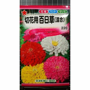 ３袋セット 百日草 切花用 混合 ジニア 種 郵便は送料無料