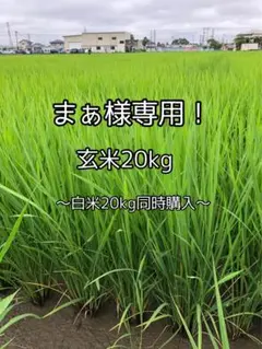 【玄米20kg】まぁ様専用！