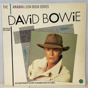 BOOK/DAVID BOWIE/ THE ANABAS LOOK BOOK SERIES UK版 (g249)