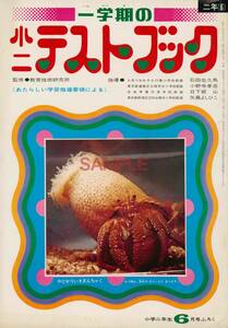 【送料無料】一学期の小二テストブック 小学二年生 昭和46年 1971年6月号 付録 ふろく 未使用 小学館 36頁