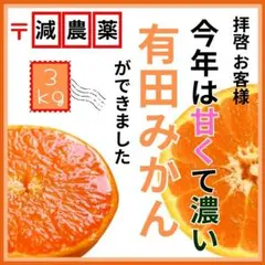 みかん 和歌山 有田 高いコスパ！数量限定！甘い 有田みかん3kg 早生 蜜柑