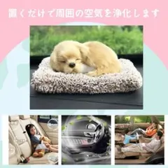 一点限り❤️犬 ラブラドール 置物 インテリア 車用 消臭剤 お部屋 活性炭 脱臭