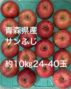 青森県産　りんご　サンふじ　約10㎏24-40玉